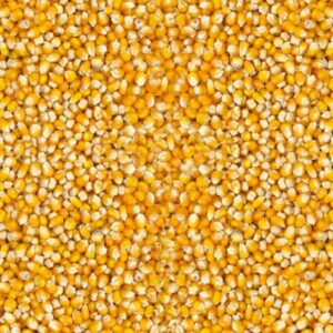 Vanrobaeys nr. 198 mais kleine cribbs 25kg