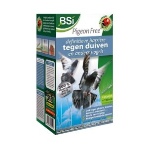 pigeon free