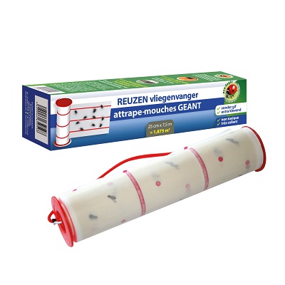 Bsi reuzen-vliegenvanger 1 Reuzen-vliegenvanger