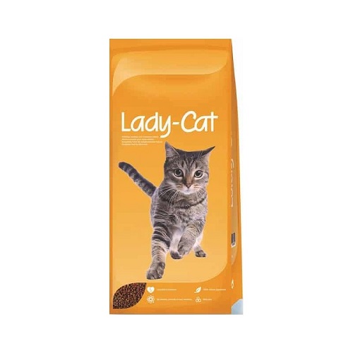 Lady cat