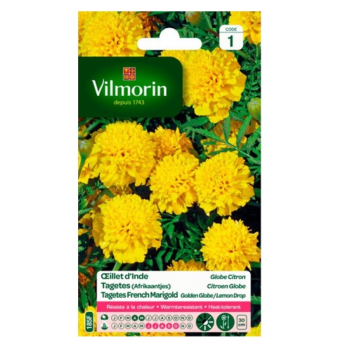 Tagetes citroen globe 1gr 1 Tagetes