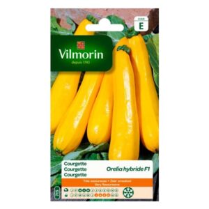 courgette geel