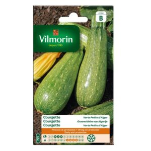 courgette