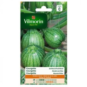 courgette rond