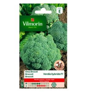 BROCCOLI