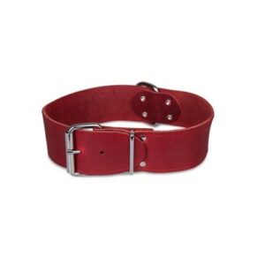 halsband leder