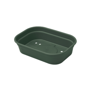 green basic