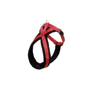 rood/zwart