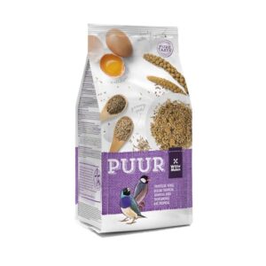 puur tropische vogel