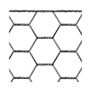 hexanet