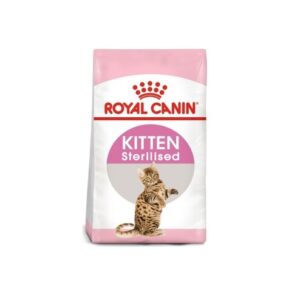 kitten sterilised