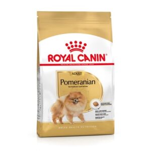 pomeranian