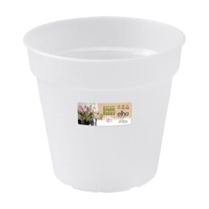 pot orchidee