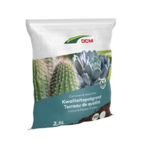 cactus en vetplant
