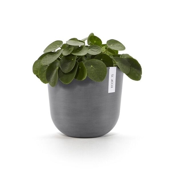 Ecopot oslo