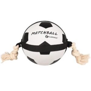 voetbal