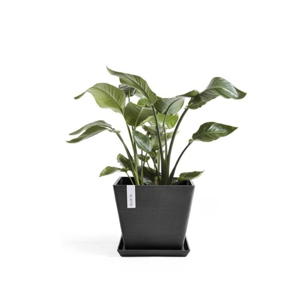 Ecopots onderschotel vierkant 30 dark grey