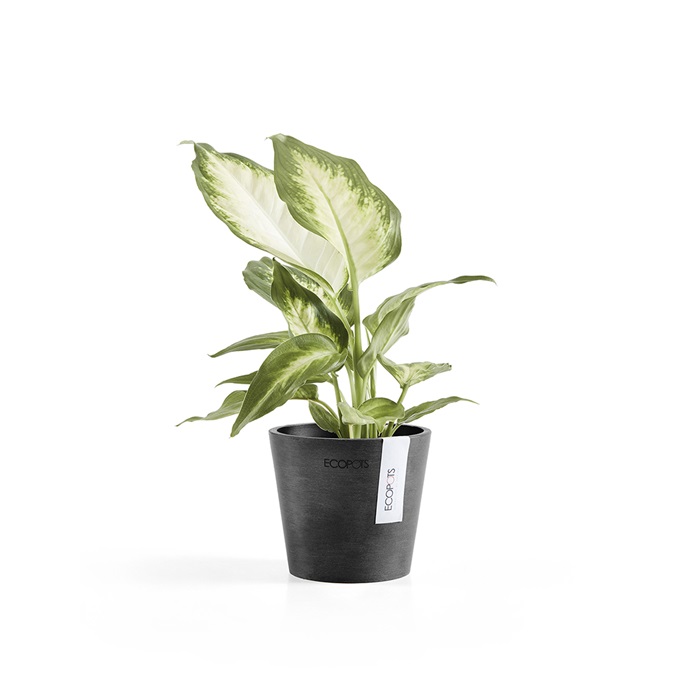 Ecopots amsterdam mini 10.5 dark grey 2 Ecopots