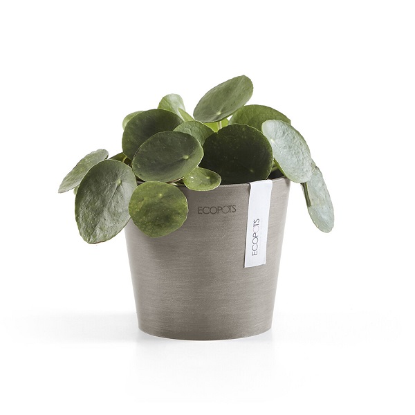 Ecopots amsterdam mini 13 taupe 2 Ecopot amsterdam
