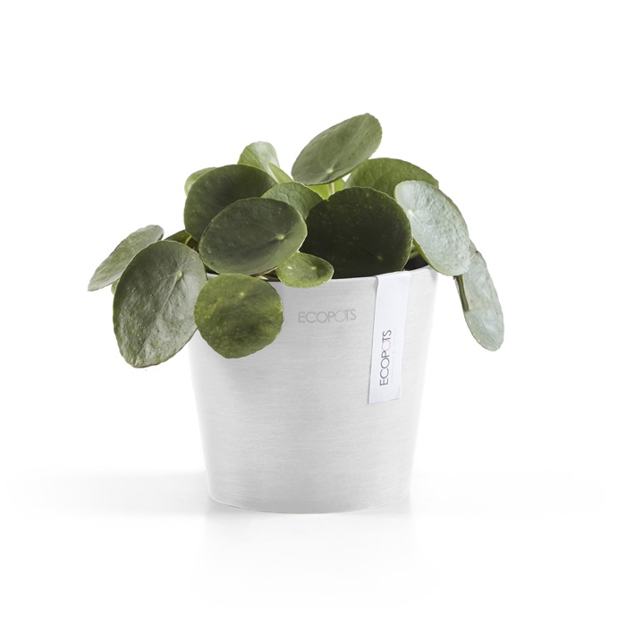Ecopots amsterdam mini 13 pure white 2 Ecopots amsterdam mini 13 pure white - afbeelding 2