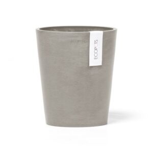 Ecopots morinda