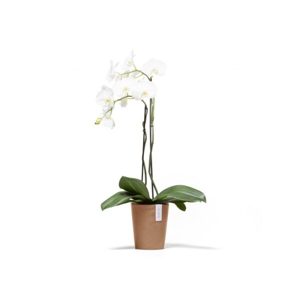 Ecopots morinda orchidee 17 terra