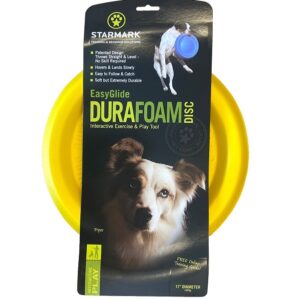 frisbee