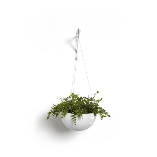 Ecopots hanging brussels 27 pure white