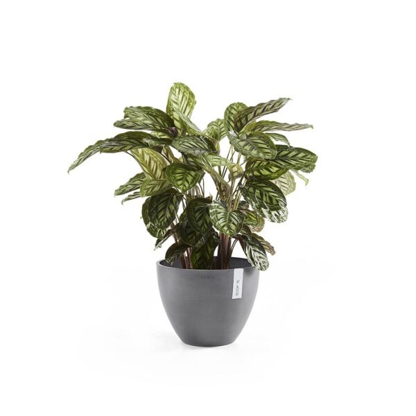 Ecopots antwerp 30 grey