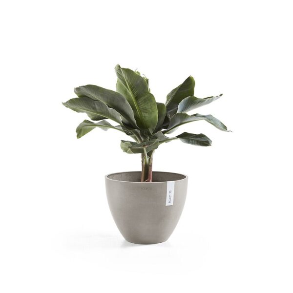 Ecopots antwerp 50 taupe