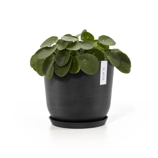 Ecopots onderschotel rond 25 dark grey