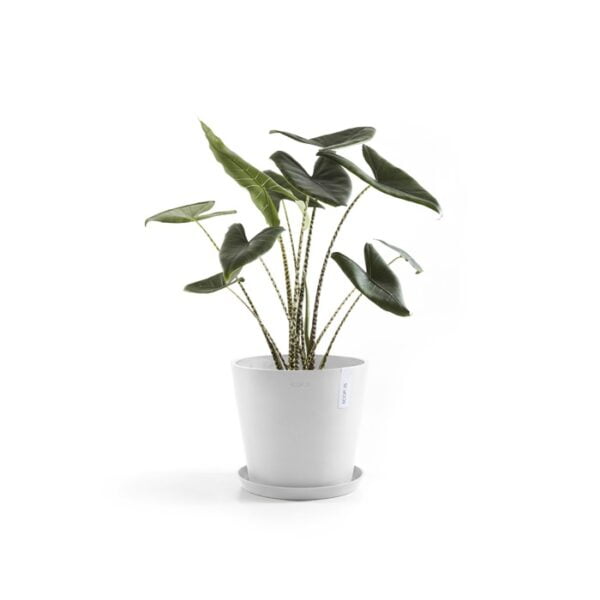 Ecopots onderschotel rond 40 pure white