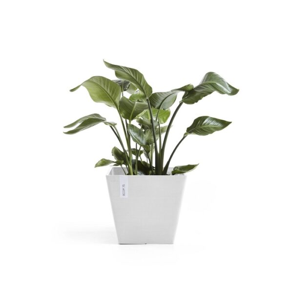 Ecopots rotterdam 30 pure white