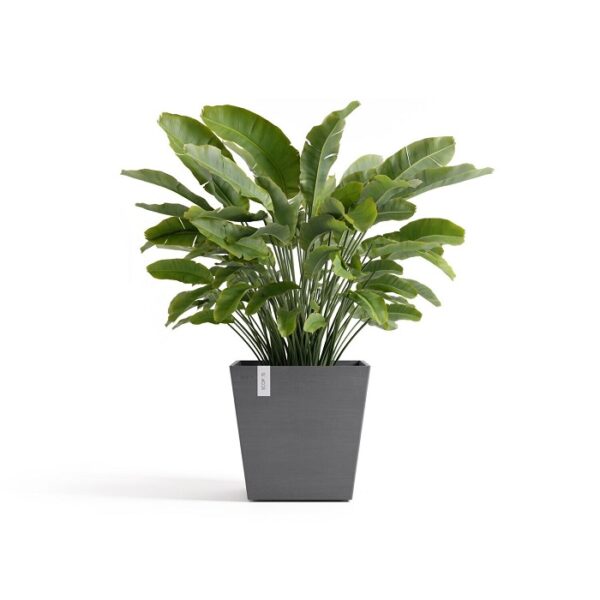 Ecopots rotterdam 45 + water reservoir grey