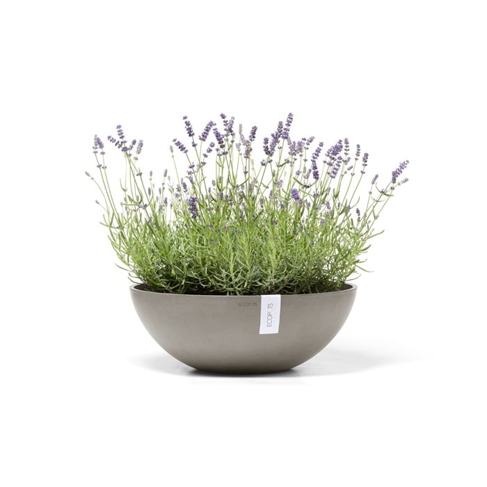 Ecopots vienna 50 taupe 2 Ecopots