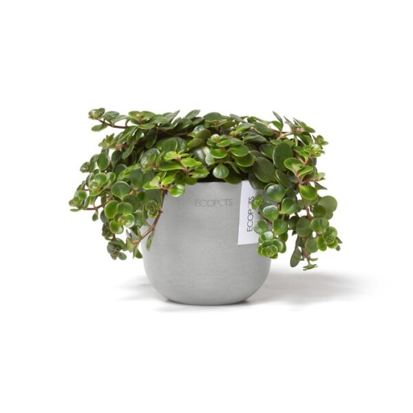 Ecopots oslo mini white grey