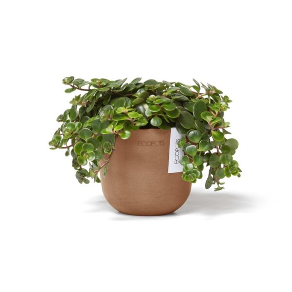 Ecopots oslo mini terra