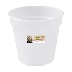 orchidee pot