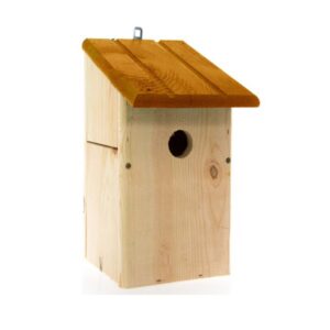 484