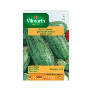 courgette