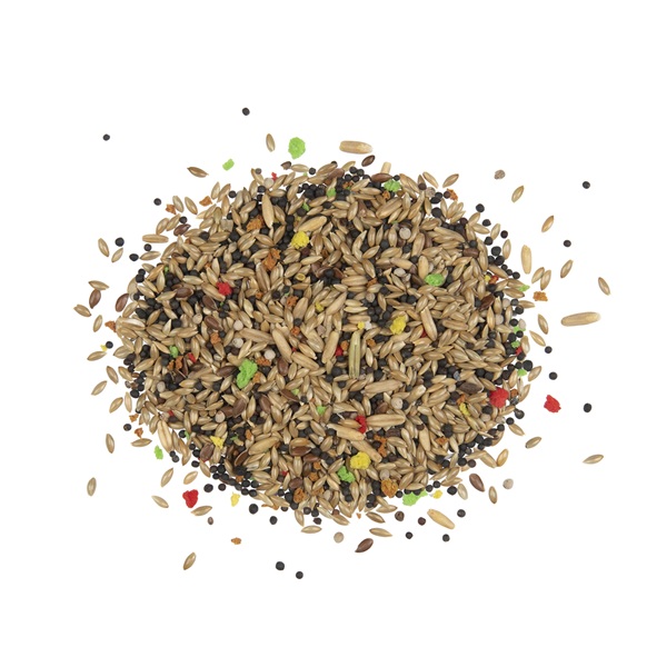 Country kanarie 2.5kg 2 Kanarie