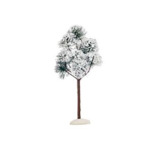 Luville mountain pine 23cm