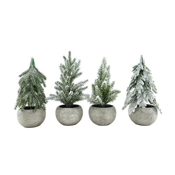 Tree snow in pot 23cm 1 23cm