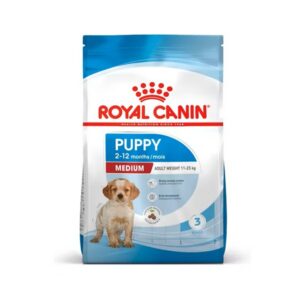 medium puppy