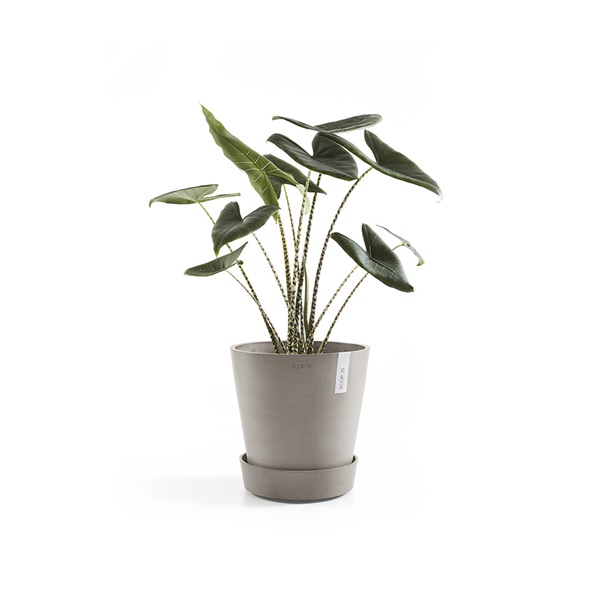Ecopots onderschotel wheels 70 taupe 4 Onderschotel wheels