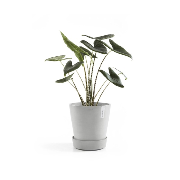 Ecopots onderschotel wheels 70 white grey 3 Onderschotel wheels