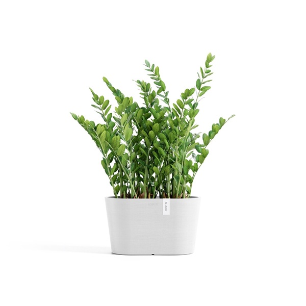 Ecopots tokyo 30 pure white 2 Ecopots tokyo