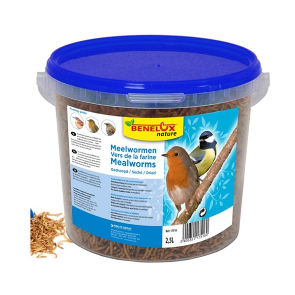 Meelwormen emmer 2.5l 1 Meelwormen emmer