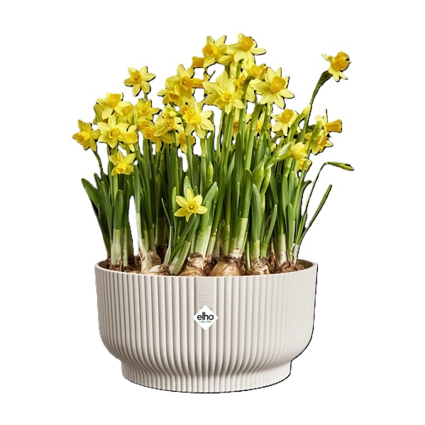 Elho vibes fold bowl 25 linnen wit 2 Elho vibes fold bowl 25 linnen wit - afbeelding 2