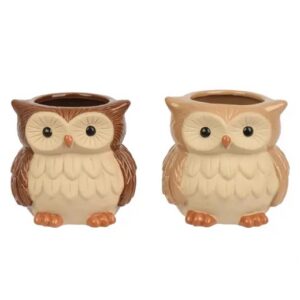 Herfst pot uil keramiek (2 assortimenten) per stuk